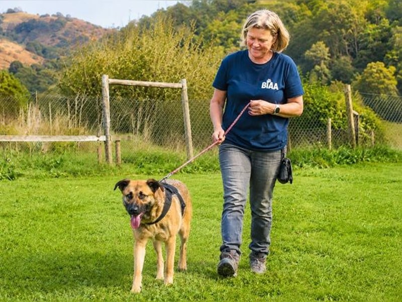 Portos - sanfter Freund sucht Vertrauen