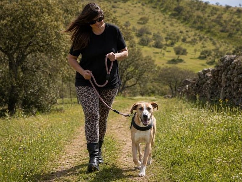 Bachi - ein liebenswerter Schatz