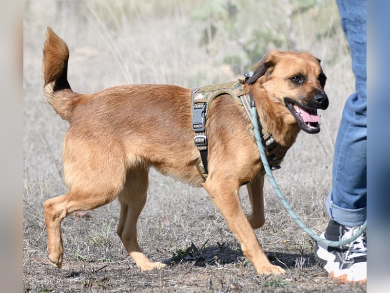 Caju – sensibel und liebevoll