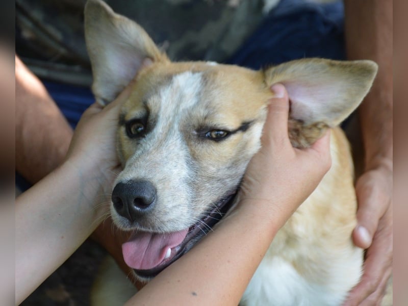 Cuna - immer gut drauf