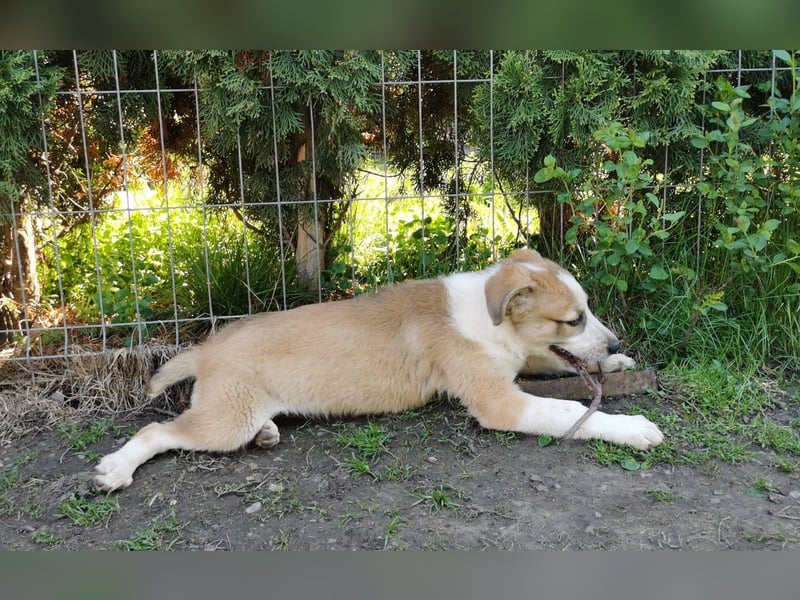 Cuna - immer gut drauf