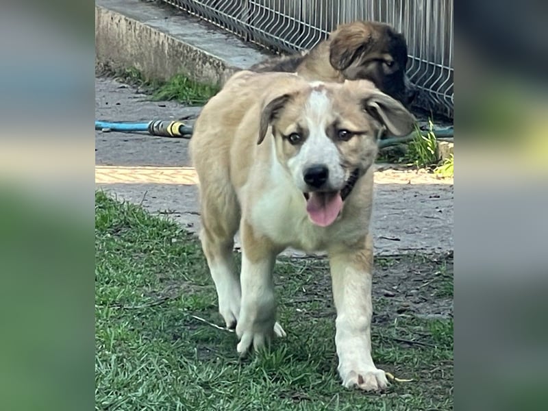 Cuna - immer gut drauf