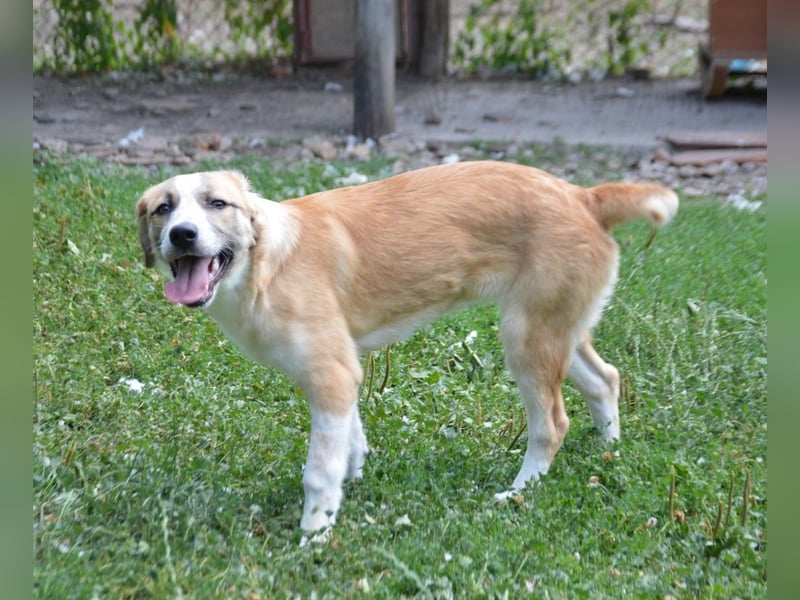 Cuna - immer gut drauf