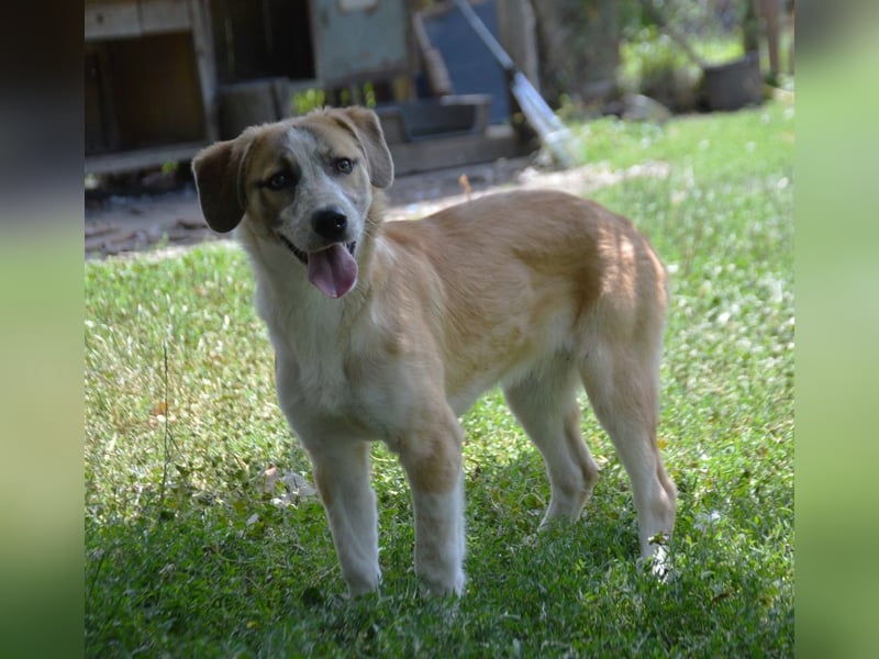 Cuna - immer gut drauf