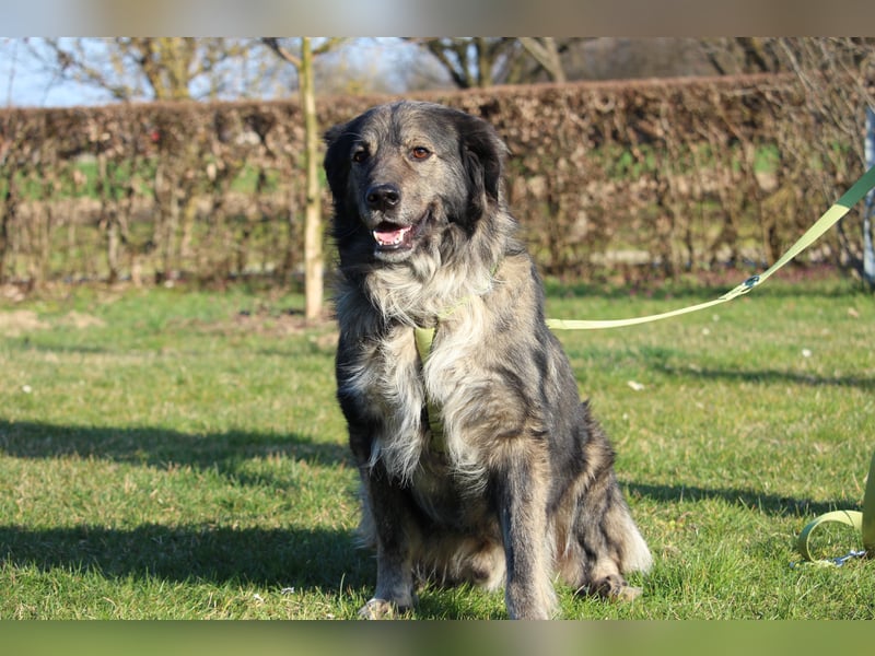 Ein großes Herz namens Sam....