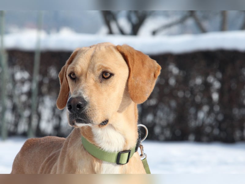 Tim sucht seine Menschen...