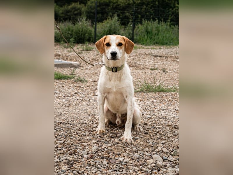 Tucker sucht seine Familie...