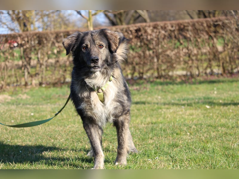 Ein großes Herz namens Sam....
