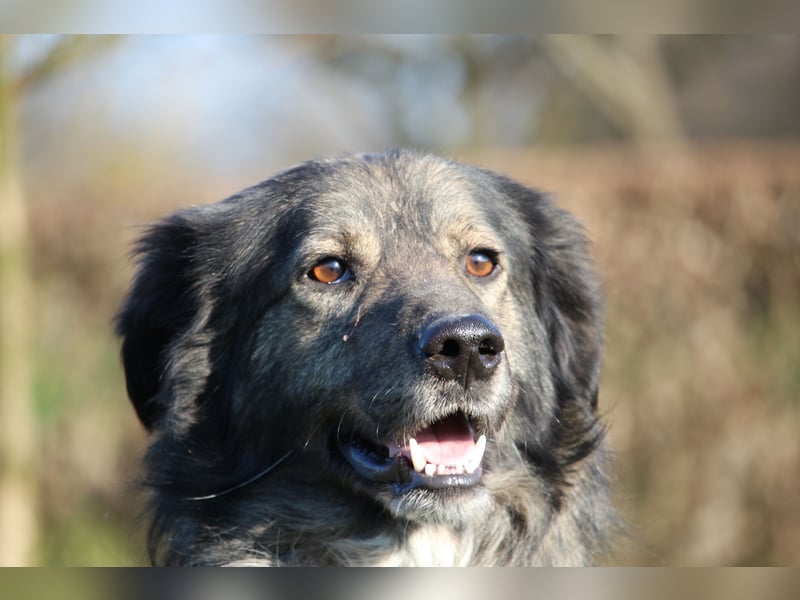 Ein großes Herz namens Sam....