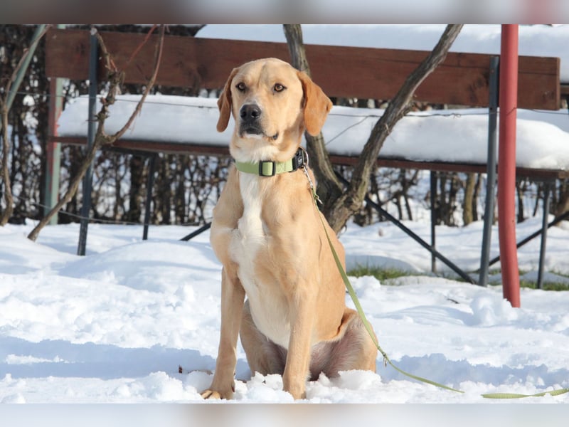 Tim sucht seine Menschen...