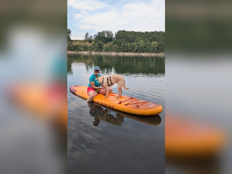 Skipper sucht seine Menschen..