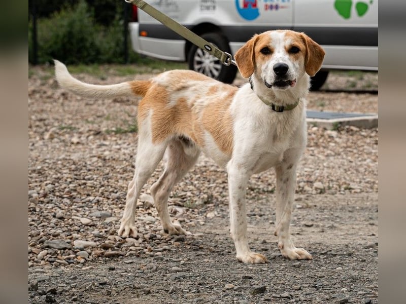 Tucker sucht seine Familie...
