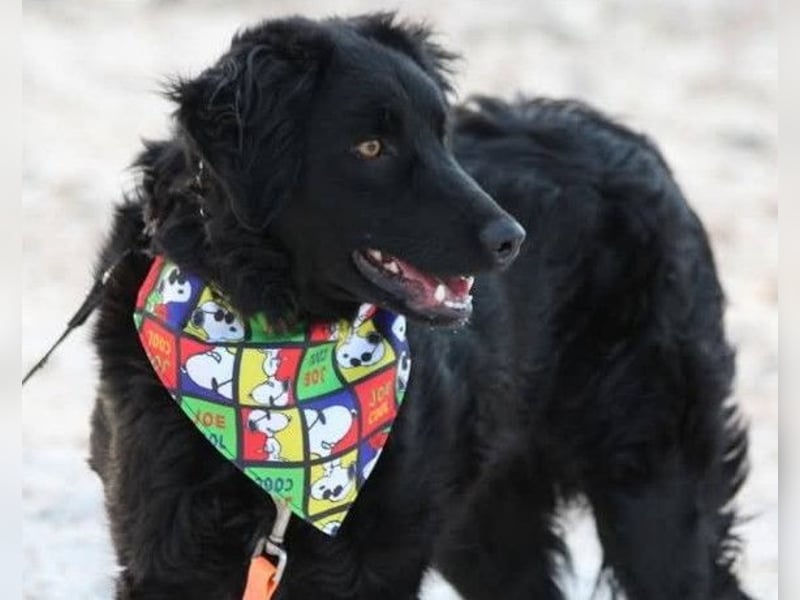 Noa ❤️ freundlich + super aufgeschlossen!