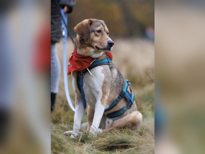 Marlin sucht seine Menschen