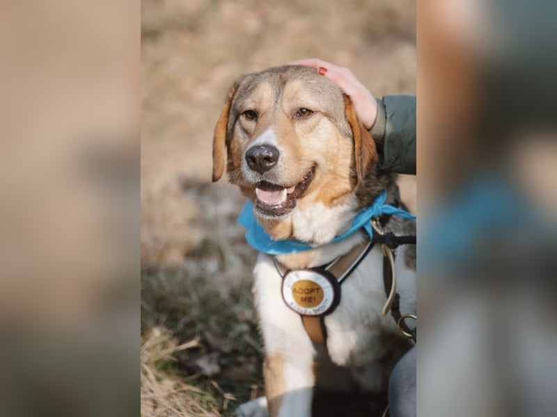 Marlin sucht seine Menschen