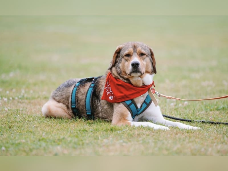 Marlin sucht seine Menschen