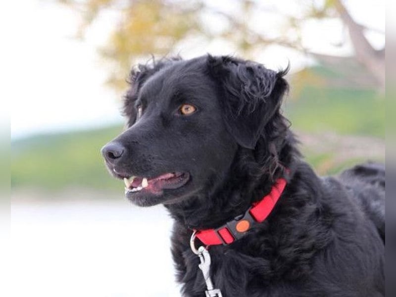 Noa ❤️ freundlich + super aufgeschlossen!