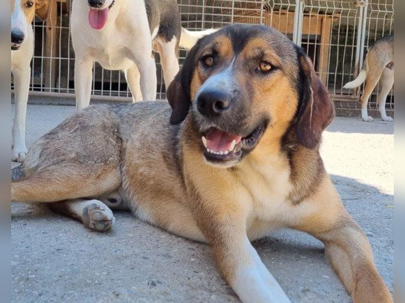 Dave möchte endlich seine Koffer packen