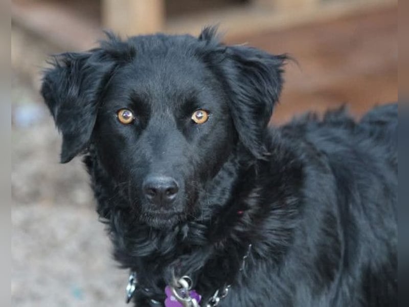 Noa ❤️ freundlich + super aufgeschlossen!