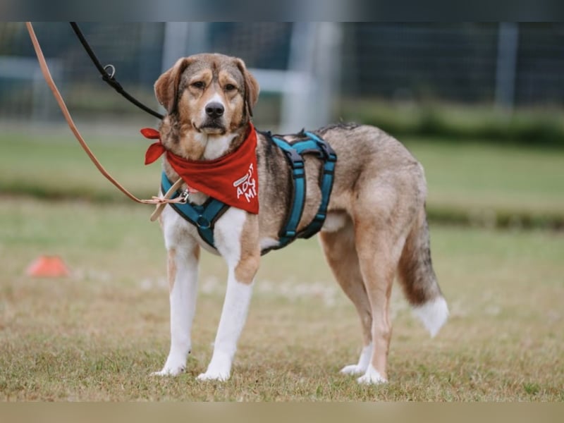 Marlin sucht seine Menschen