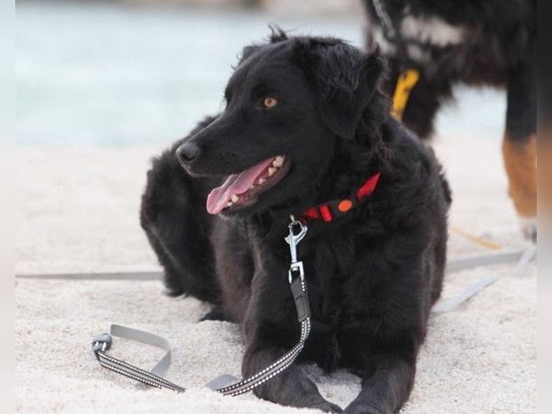 Noa ❤️ freundlich + super aufgeschlossen! Noa ❤️ freundlich + super aufgeschlossen!