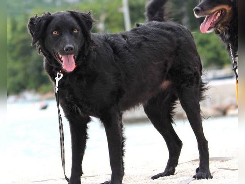 Noa ❤️ freundlich + super aufgeschlossen!