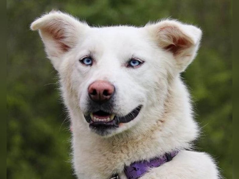 Schöne Smilla ❤️ klug, offen, lebhaft Schöne Smilla ❤️ klug, offen, lebhaft