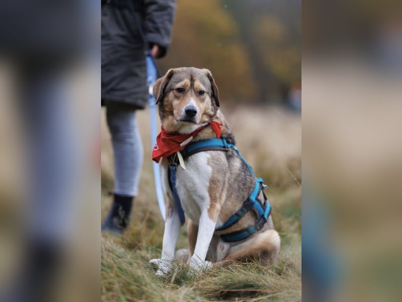 Marlin sucht seine Menschen