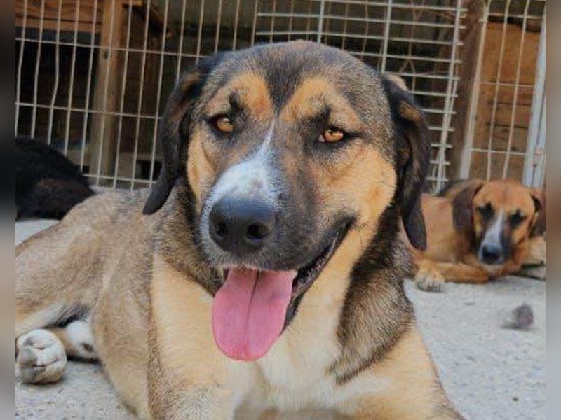 Dave möchte endlich seine Koffer packen