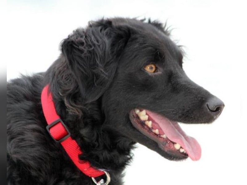 Noa ❤️ freundlich + super aufgeschlossen!