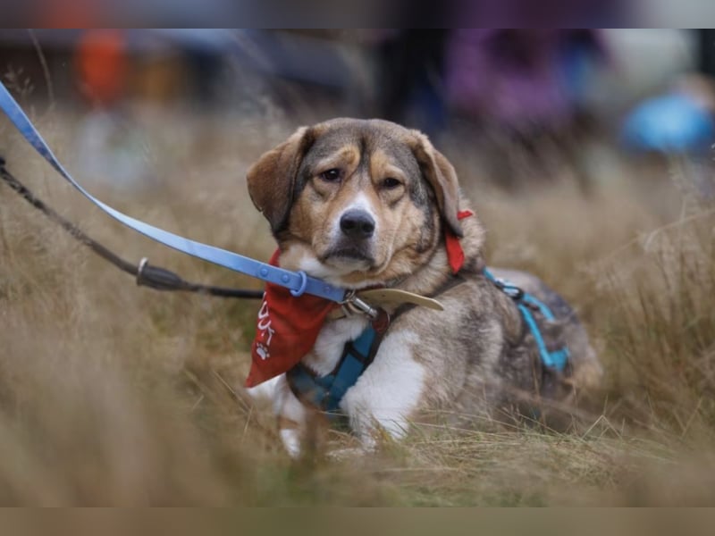 Marlin sucht seine Menschen