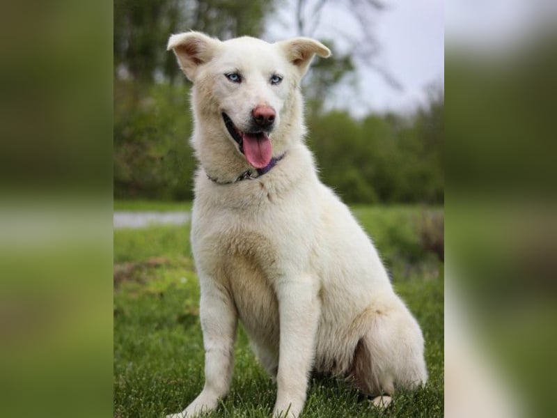 Schöne Smilla ❤️ klug, offen, lebhaft Schöne Smilla ❤️ klug, offen, lebhaft