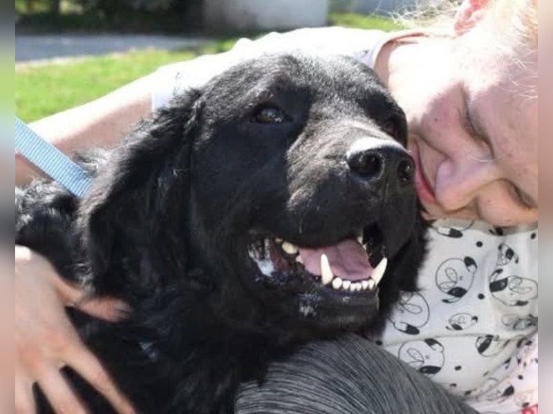 OldBoy  Đoni  sucht seine treuen Menschen