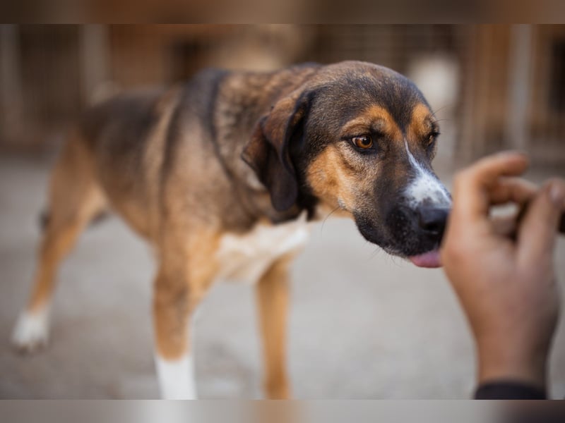 Dave möchte endlich seine Koffer packen