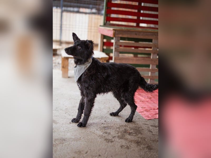 Kuschelbub ♥Noah♥ verspielt & lebensfroh