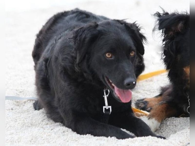 Noa ❤️ freundlich + super aufgeschlossen! Noa ❤️ freundlich + super aufgeschlossen!