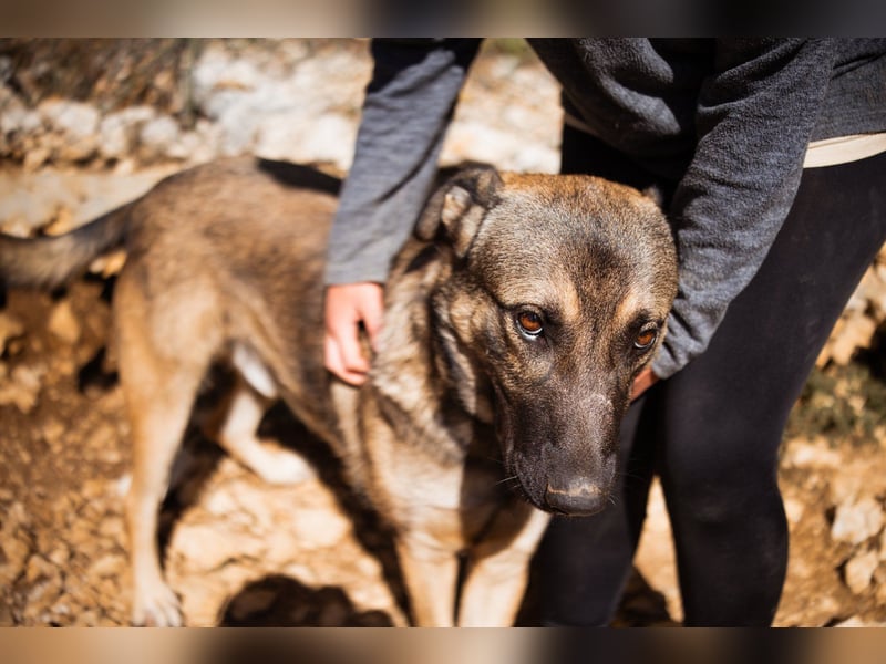 CharmingBoy ♥Luis♥ liebenswertes Fellherz