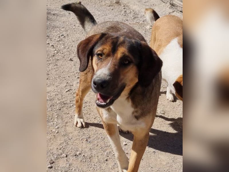 Dave möchte endlich seine Koffer packen