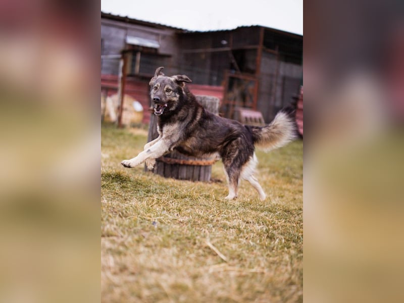 Zauberhafter Zorro-darf er einziehen? ❤