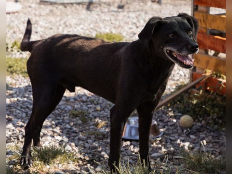 Audi ❤️ freundlicher & so lieber Schatz!