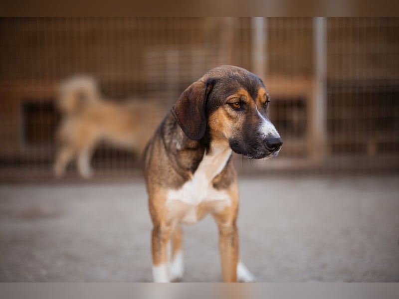 Dave möchte endlich seine Koffer packen