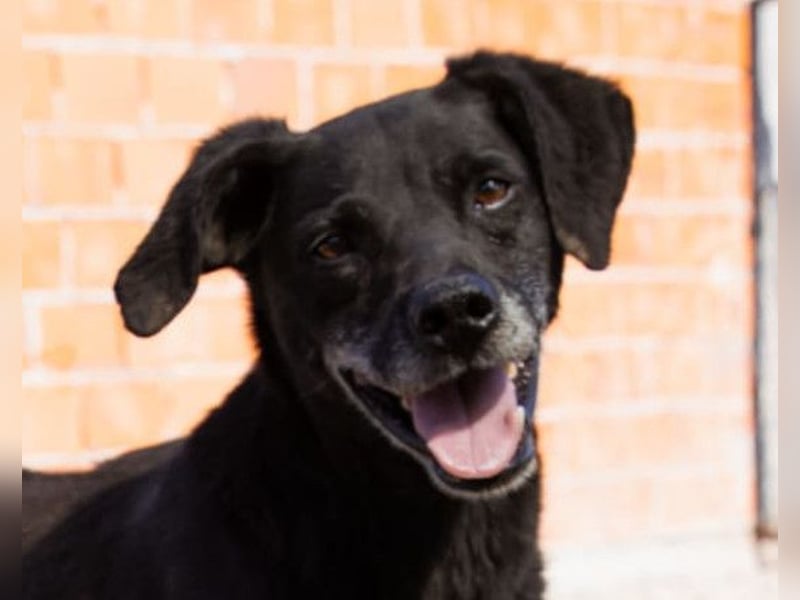 Audi ❤️ freundlicher & so lieber Schatz!