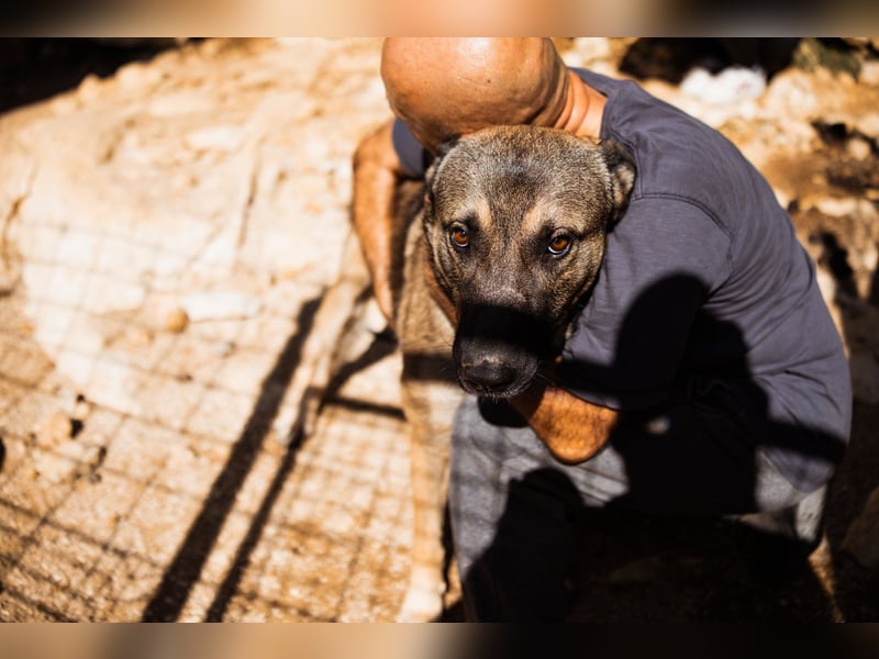 CharmingBoy ♥Luis♥ liebenswertes Fellherz