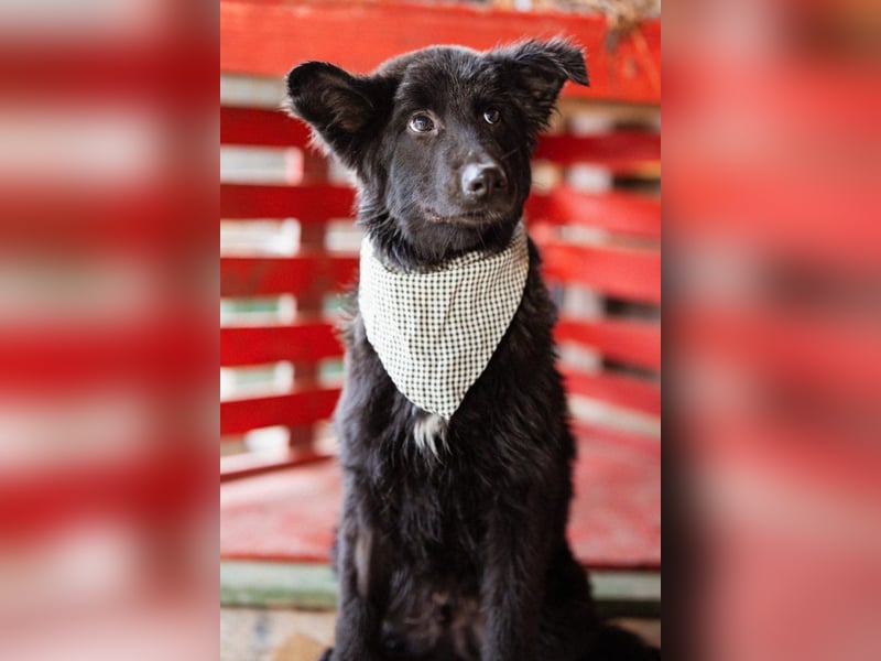 Kuschelbub ♥Noah♥ verspielt & lebensfroh