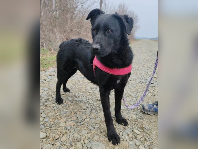 ASYA❤️verschmuste Schönheit mit einem ganz großen Herzen