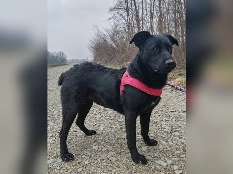 ASYA❤️verschmuste Schönheit mit einem ganz großen Herzen