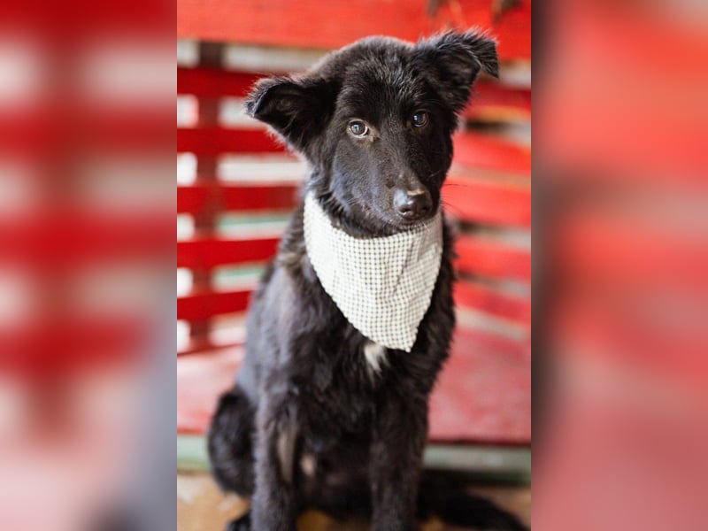 Kuschelbub ♥Noah♥ verspielt & lebensfroh