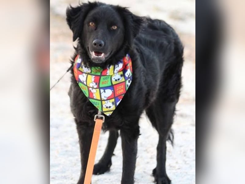 Noa ❤️ freundlich + super aufgeschlossen!