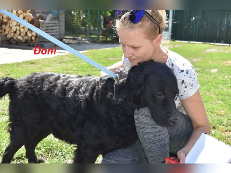 OldBoy ♥ Đoni ♥ sucht seine treuen Menschen