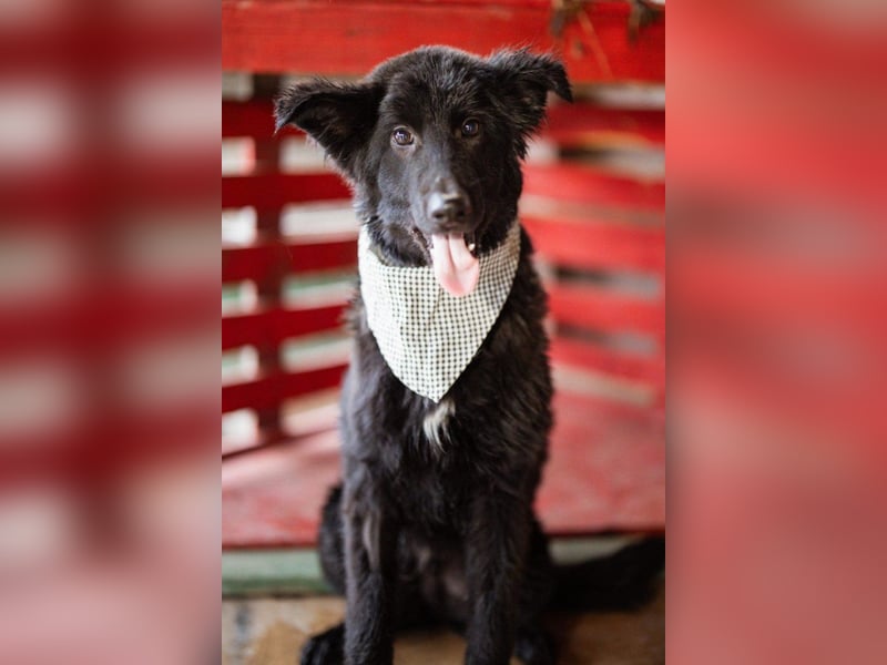 Kuschelbub ♥Noah♥ verspielt & lebensfroh